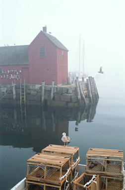 New England seacoast