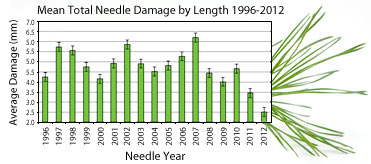 needle damage