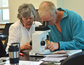 forest watch teacher workshop