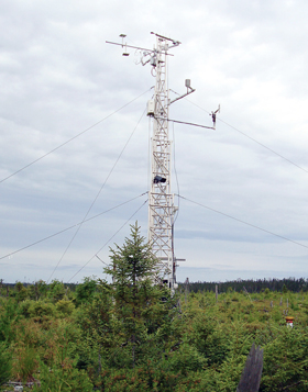 flux tower