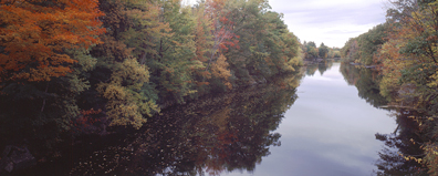 lamprey river