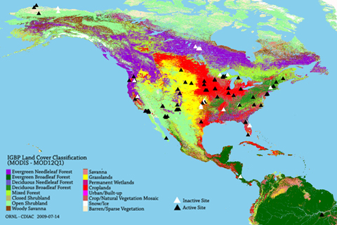 land cover