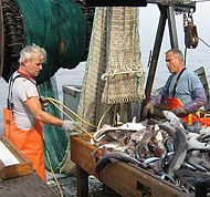 Northeast Consortium fishermen