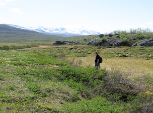 peatlands, Strodalen Norway