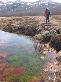 Peatlands 2, Strodalen Norway