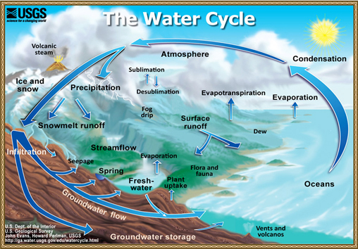 usgs water cycle