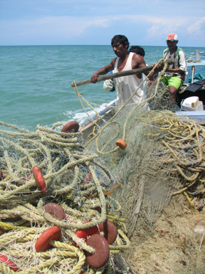 fishermen