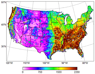 vegetation map